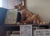 札幌スープカレー曼荼羅 西町本店: めいさんの2025年01月27日の2枚目の投稿写真