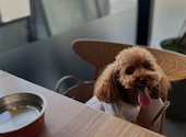 CAFE OTTO DEJIMA カフェ オットー 出島: 悠さんの2026年08月25日の1枚目の投稿写真