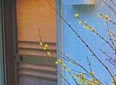 鮨 真喜: たあけりすさんの2026年07月04日の1枚目の投稿写真