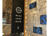 BLUE LEAF CAFE 京都: らんさんの2026年06月07日の2枚目の投稿写真