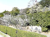 梅荘: 口コミ☆穴場さんの2014年07月18日の1枚目の投稿写真