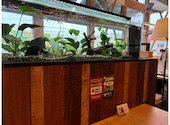 ウエスト カフェ 麦野店: nemuさんの2026年09月12日の1枚目の投稿写真