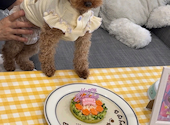 cafe RaBaCaTa カフェラバカタ: けんちゃんさんの2026年08月30日の1枚目の投稿写真