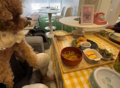 cafe RaBaCaTa カフェラバカタ: けんちゃんさんの2026年08月30日の3枚目の投稿写真