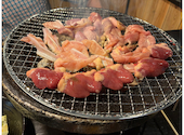 ひなとり: らんでーさんの2026年04月16日の1枚目の投稿写真