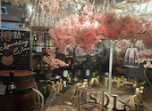 ESOLA 町田店: こずさんの2024年06月24日の1枚目の投稿写真