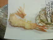 つくも: モーパパさんの2015年05月17日の2枚目の投稿写真