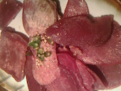 昭和ホルモン亭 青田店: モーパパさんの2015年04月09日の2枚目の投稿写真