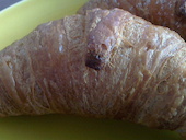 お茶の井ヶ田・喜久水庵・山形南店: モーパパさんの2015年05月17日の2枚目の投稿写真