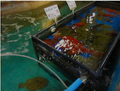 釣船茶屋 ざうお目黒店: tieさんの2016年12月05日の1枚目の投稿写真