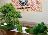 Umbrella Coffee(アンブレラコーヒー)　小倉駅前店: テトさんの2026年05月06日の3枚目の投稿写真