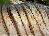 魚の目利き 八重洲店: キューディさんの2026年09月10日の1枚目の投稿写真