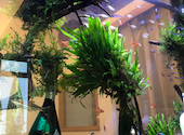 AQUARIUM CAFE Affinity　（アクアリウム カフェ アフィニティ）: 智翔ゆきさんの2024年05月の1枚目の投稿写真