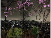 中村庵: なつみさんの2021年03月22日の2枚目の投稿写真