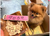 アジア食堂 ココナッツ 吉祥寺ハーモニカ横丁: たろうさんの2026年06月13日の1枚目の投稿写真