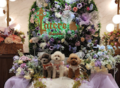 Latere Garden(ラテレガーデン)横浜: ミカリンさんの2026年06月16日の3枚目の投稿写真