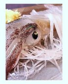 活魚料理 いか清: ムーディ負山さんの2007年03月19日の1枚目の投稿写真