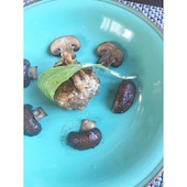 北鎌倉 ぬふ いち: あみさんの2018年12月05日の3枚目の投稿写真