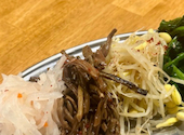 焼肉 松江 ソンガン 新潟駅前店: けいけいさんの2026年07月25日の1枚目の投稿写真