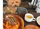 cafe&dining CovoT カフェアンドダイニング コボット: なっちゃんさんの2026年08月17日の1枚目の投稿写真