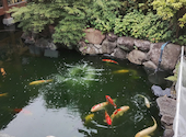 和食 懐石 がんこ 池田石橋苑: パセリさんの2026年07月02日の2枚目の投稿写真