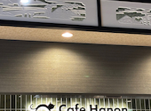 Matcha Cafe Hanon マッチャカフェハノン: りんちゃんさんの2026年05月29日の2枚目の投稿写真