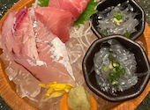 魚ゆるり。橋本: 小狐丸さんの2025年10月の1枚目の投稿写真