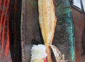 釣船茶屋 ざうお 横浜綱島店: ようちゃんさんの2026年04月13日の2枚目の投稿写真