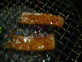 新長亭: 退会済みユーザーさんの2008年02月24日の2枚目の投稿写真