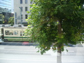 鉄板焼 zaza Casual Dining: 退会済みユーザーさんの2008年09月26日の3枚目の投稿写真