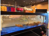 活魚 炎舞 瀬戸パーク: ちゃっぴぃさんの2026年06月21日の1枚目の投稿写真