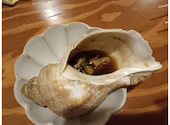 室蘭やきとり 鳥辰 狸小路店: ブラウマイスターさんの2026年08月12日の1枚目の投稿写真