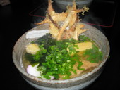 大地のうどん: クララさんの2008年04月20日の3枚目の投稿写真