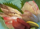 博多の魚屋 せんせんせん ［寿司酒場］: NAOさんの2026年04月の1枚目の投稿写真