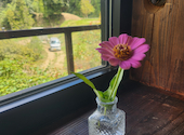 FARMER'S TABLE Grill & Steam: chihanさんの2026年08月10日の3枚目の投稿写真
