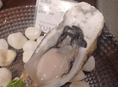 YUMMY ヤミー 大宮一番街店: ちょびねこさんの2025年11月16日の1枚目の投稿写真