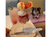 & Yogurt アンドヨーグルト 表参道本店: みきてぃさんの2026年05月31日の3枚目の投稿写真