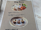 Kobe harbor kitchen Haji コウベハーバーキッチン ハジ: ひこにゃんさんの2026年09月24日の1枚目の投稿写真