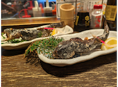 小川の魚: むぎさんの2024年04月02日の3枚目の投稿写真