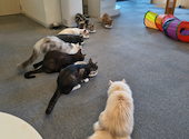 讃岐neko: 月の影さんの2026年07月14日の1枚目の投稿写真