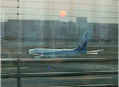 竹乃屋 福岡空港店: kolynさんの2025年04月10日の1枚目の投稿写真