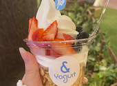 & Yogurt アンドヨーグルト 大宮店: ラプンツェルさんの2026年07月01日の1枚目の投稿写真
