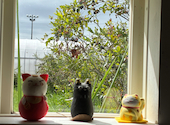 くろいちごCafe 浦部農園 茂原: makiさんの2026年08月06日の2枚目の投稿写真