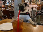 RIDER'S GARAGE CAFE&DINER: めぐさんの2024年05月19日の3枚目の投稿写真