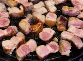 ネオン空間 韓国料理×チーズ ソルチカ 梅田店: かつさんの2026年05月19日の1枚目の投稿写真