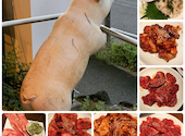 名古屋名物!味噌とんちゃん屋 神の倉ホルモン: ばにーさんの2026年06月08日の1枚目の投稿写真