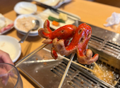 串家物語 ららぽーと横浜店: さみぞさんさんの2026年03月28日の1枚目の投稿写真