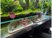 AQUA GARDEN KYOTO　アクアガーデン　京都: あずみさんの2026年05月の1枚目の投稿写真