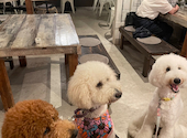 Kobe harbor kitchen Haji コウベハーバーキッチン ハジ: ハニーさんの2024年09月22日の3枚目の投稿写真