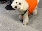 犬猫カフェ put on lap プットオンラップ 今池: リョウタさんの2026年09月26日の1枚目の投稿写真